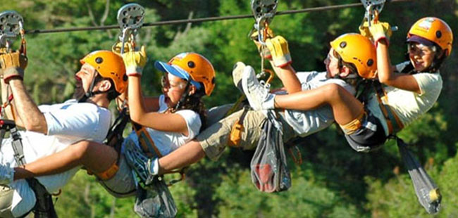 Wild Canyon Monster Zips