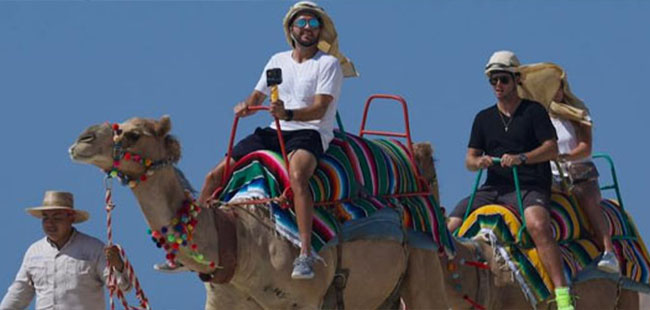 Camels & Zip Lines Combo