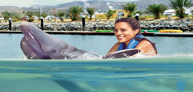 Migrino Beach ATV Tour