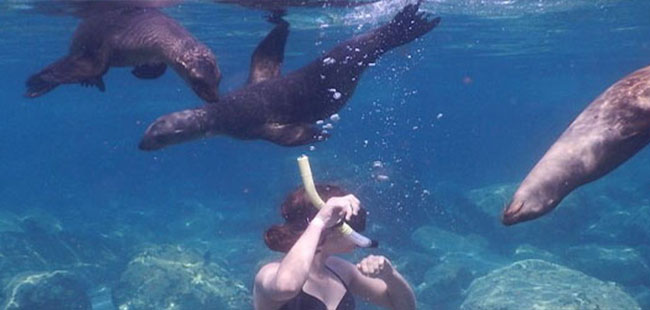 Espiritu Santo Island Tour