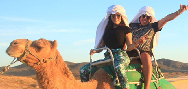 Camel Quest Adventure