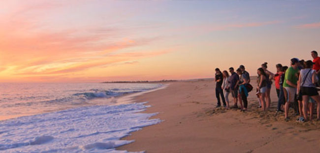 Private Jeep Todos SantosPrivate Jeep Todos Santos