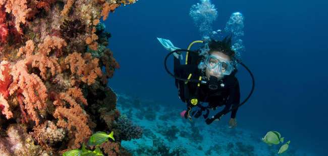 Cabo Pulmo Marine Park