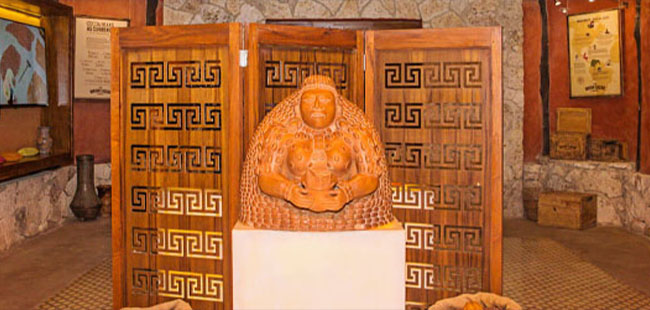 Skyreef & Discover Chocolate Combo