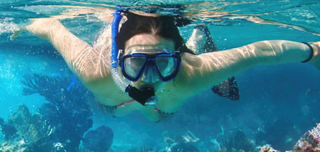 Ultimate Snorkel & Beach Break