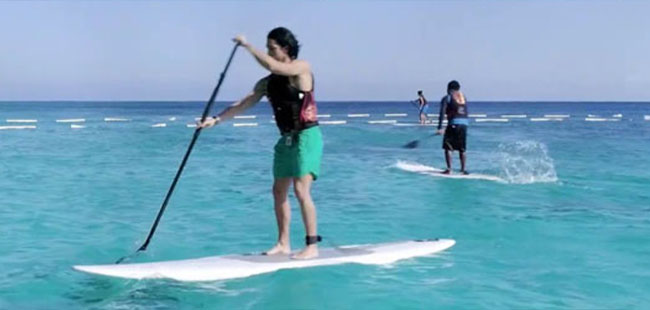 Stingray Beach Paddleboard Adventure