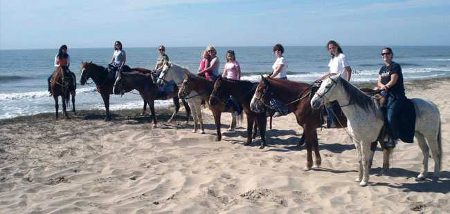 Cabo Escape Whale Watch