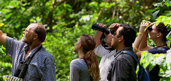 Birdwatching Mazatlan