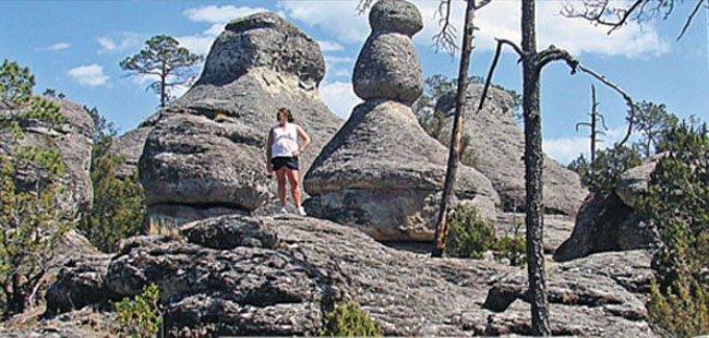 The Spine of the Devil Tour Mazatlan