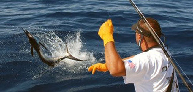 Fishing Charters and Sportfishing