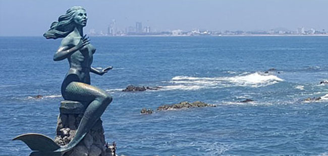 Mazatlan Whale Watching Tour