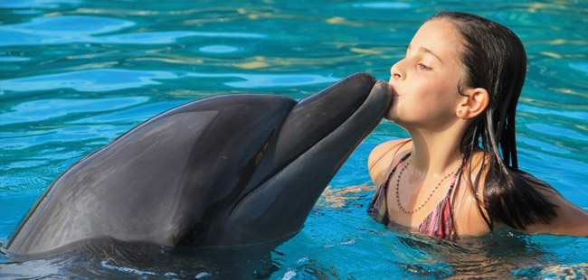 Dolphin Encounter + Aquaventuras Water Park