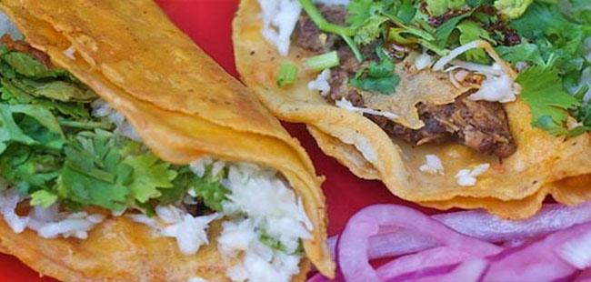 Bikes & Bites Food Tours Puerto Vallarta