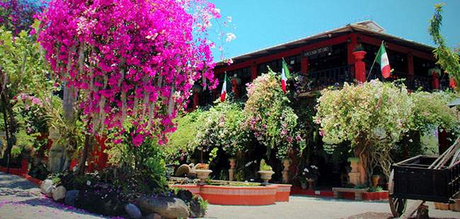 Botanical Gardens & Mismaloya Sightseeing Adventure