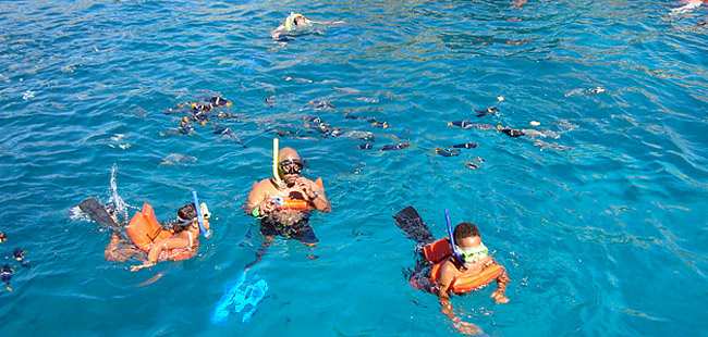 Los Arcos Paradise Catamaran Snorkel Express