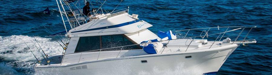 35' Custom Express 4