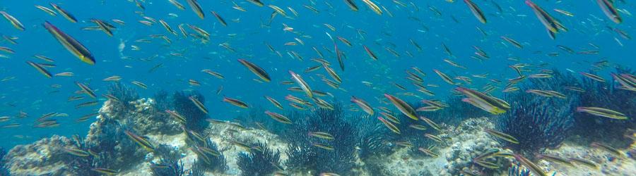 60' Private Party Boat 7