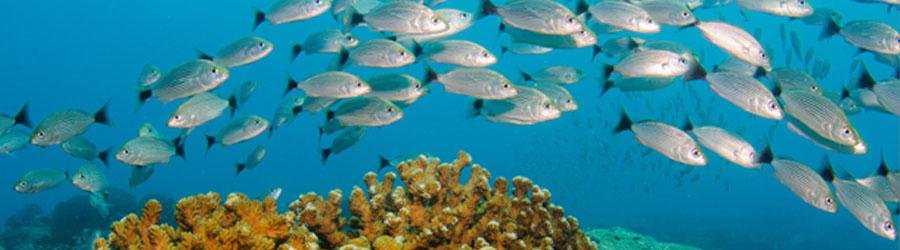 60' Private Party Boat 8