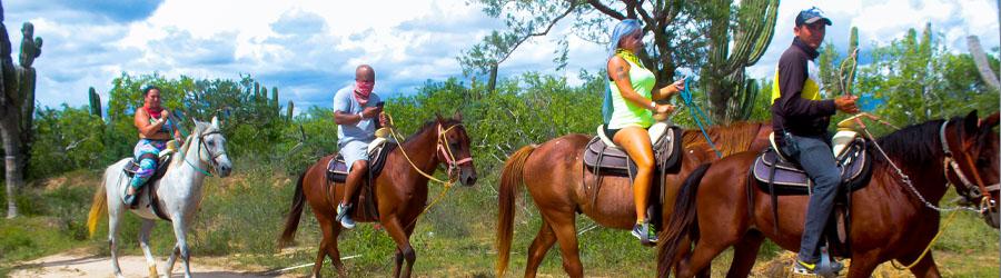 Cabo ATV & Migriño Beach Horseback Riding Tour 2