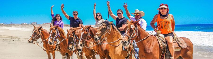 Cabo ATV & Migriño Beach Horseback Riding Tour 4
