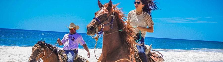 Cabo ATV & Migriño Beach Horseback Riding Tour 7