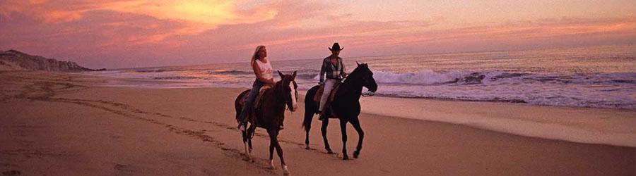 Cabo ATV & Migriño Beach Horseback Riding Tour 8