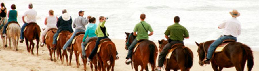 Migrino Beach Horseback Ride Cabo 1