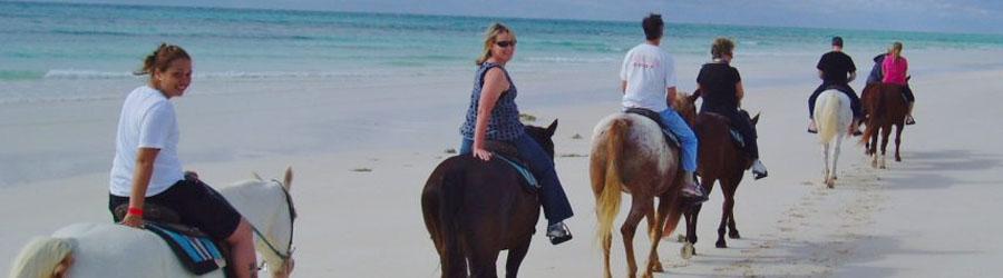 Migrino Beach Horseback Ride Cabo 2