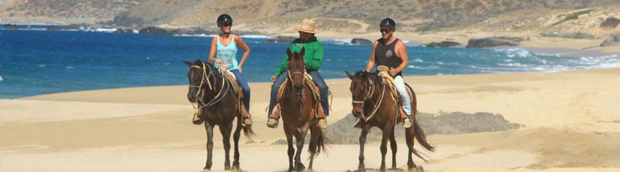 Migrino Beach Horseback Ride Cabo 4