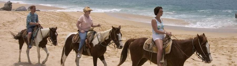 Migrino Beach Horseback Ride Cabo 5