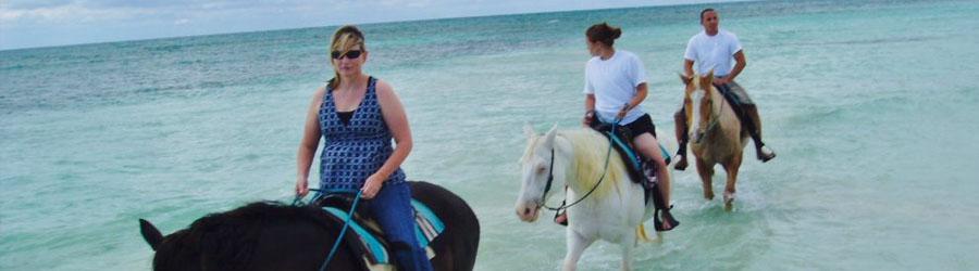 Migrino Beach Horseback Ride Cabo 8