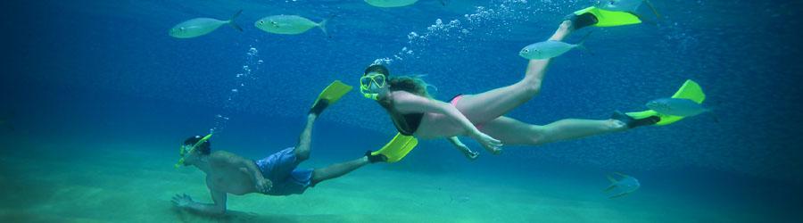 Chileno Bay Breakfast Cruise & Snorkel Tour 6