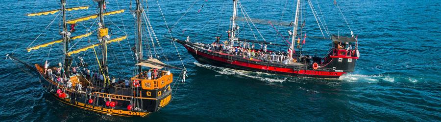 Buccaneer Queen Whale Watching Fun Adventure 6