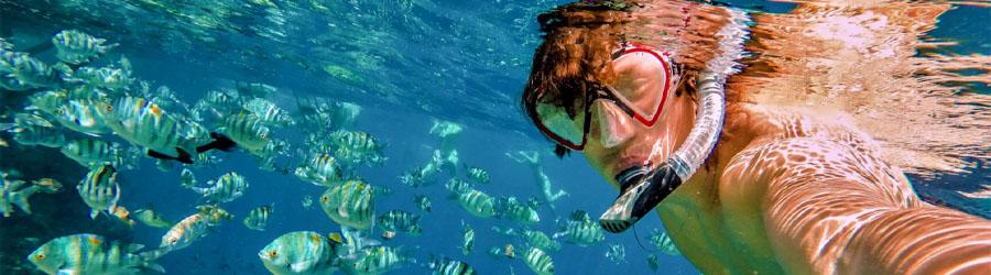 Cabo Escape Snorkel & Chileno Bay Cruise 3