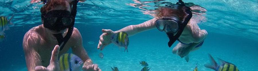 Cabo Escape Snorkel & Chileno Bay Cruise 8