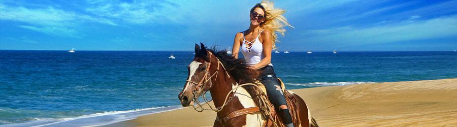 Private Baja Horseback Riding Adventure 1