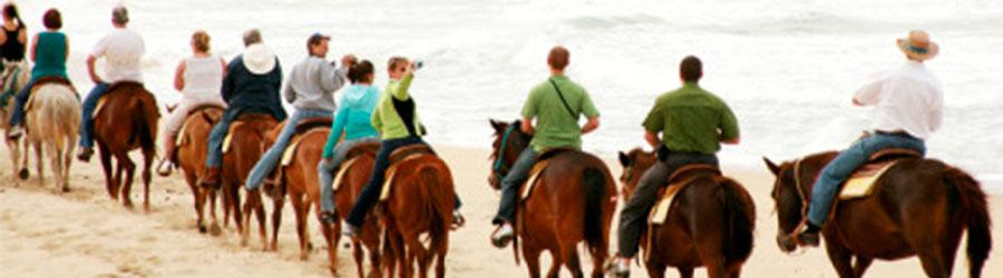 Private Baja Horseback Riding Adventure 2