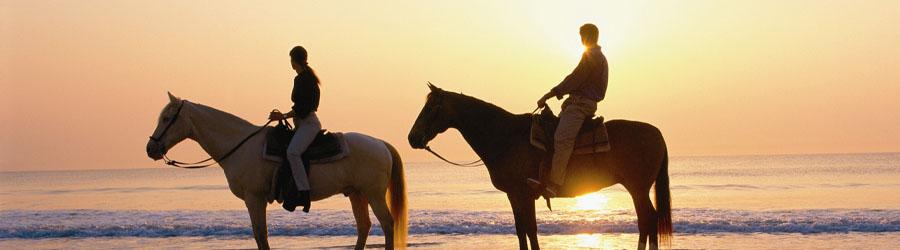 Private Baja Horseback Riding Adventure 3