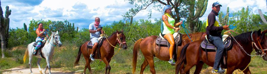 Private Baja Horseback Riding Adventure 5
