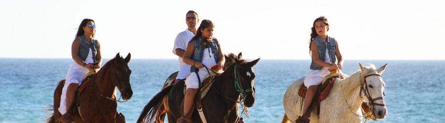 Private Baja Horseback Riding Adventure 7