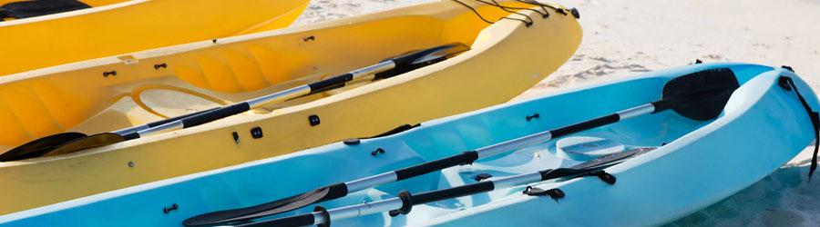 Snorkel & Kayak Cabo San Lucas 1