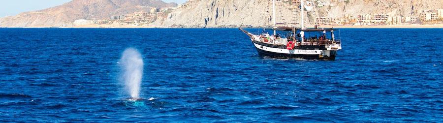 Treasure Hunt Snorkel 8