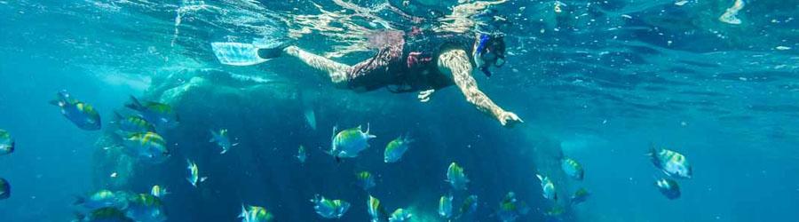 Cabo Pulmo Snorkeling Tour 1