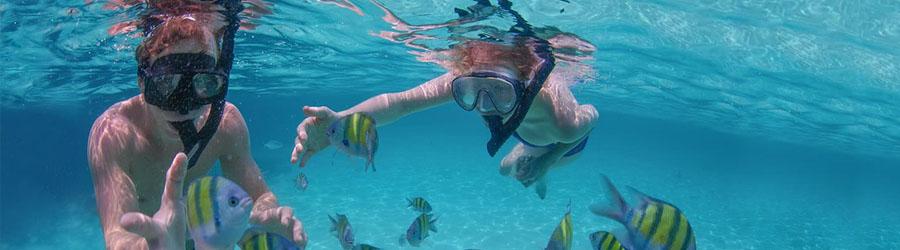 Cabo Pulmo Snorkeling Tour 5