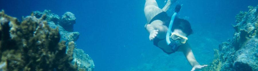 Cabo Pulmo Snorkeling Tour 8