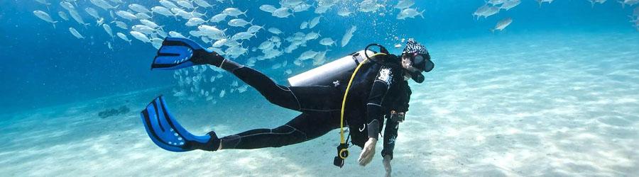 Local Scuba Diving 3