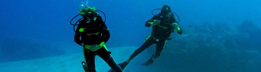 Local Scuba Diving 6