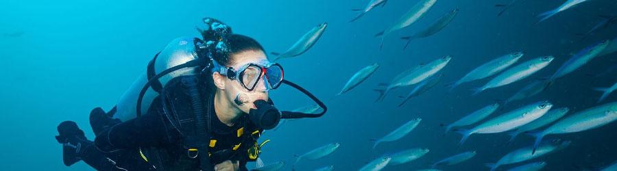 Local Scuba Diving 7