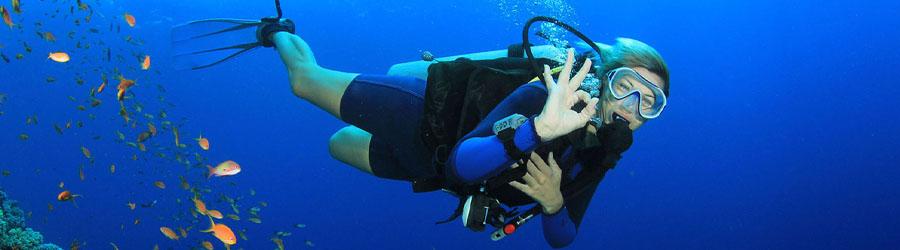 Local Scuba Diving 8