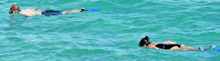 Cabo Snorkel Express 5